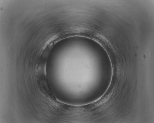 X0000062671210200512230938