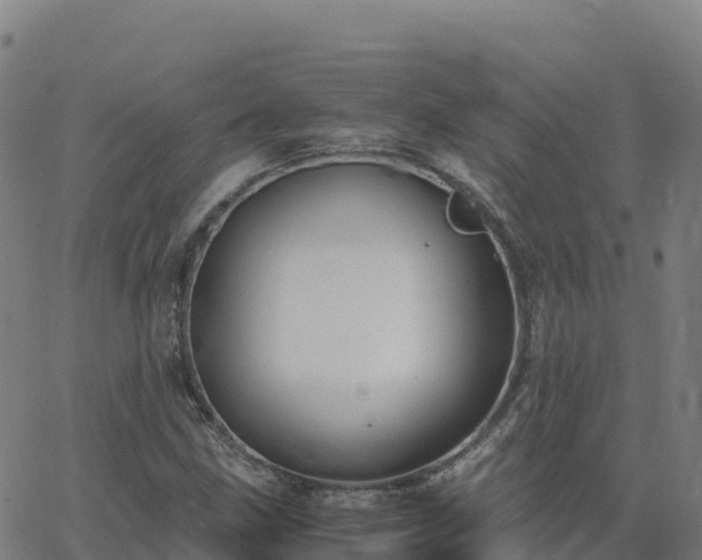 X0000062671211200512230938