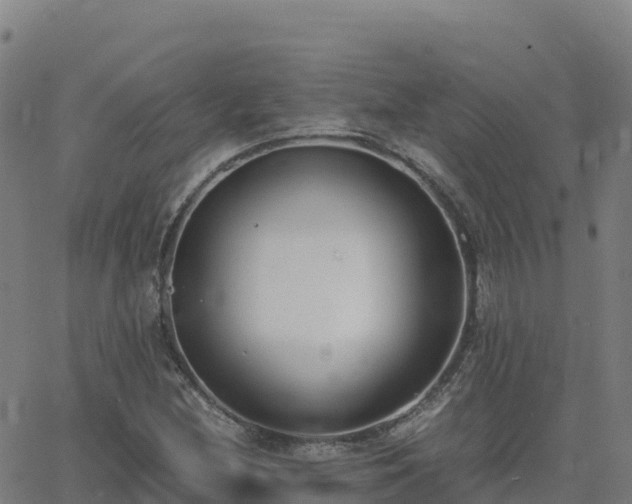 X0000062671212200512230938