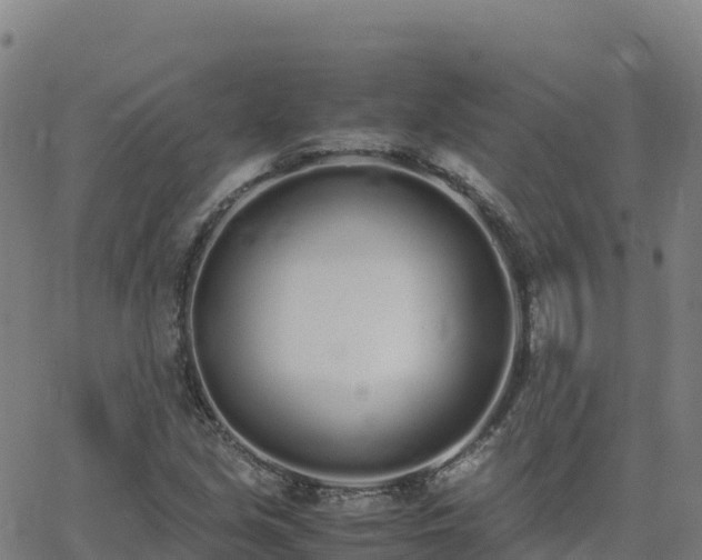 X0000062671213200512230938