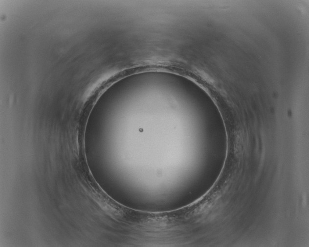 X0000062671214200512230938