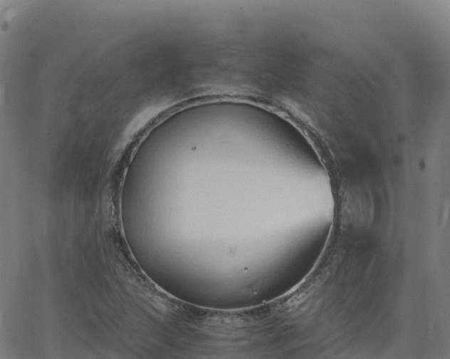 X0000062671215200512230938