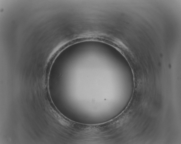 X0000062671216200512230938