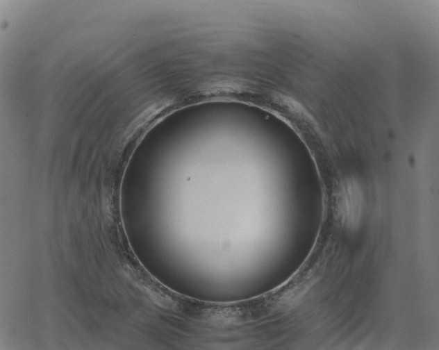 X0000062671217200512230938