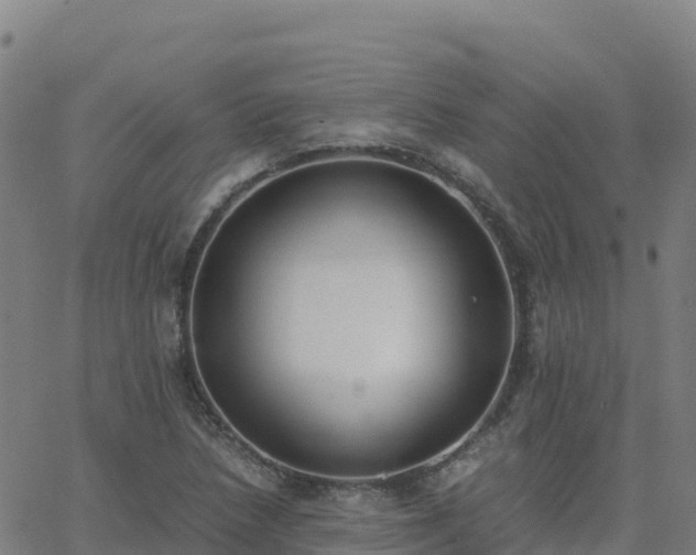 X0000062671218200512230938