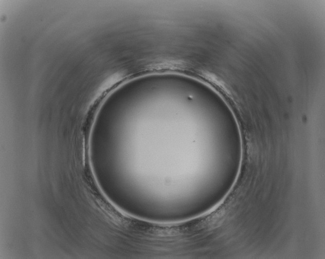 X0000062671219200512230938