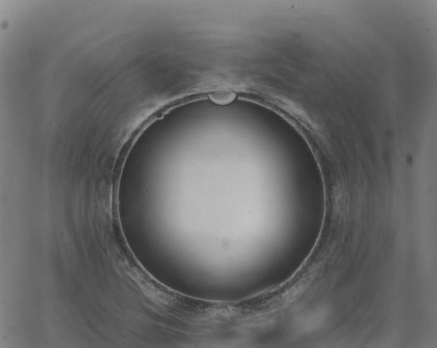 X0000062671220200512230938