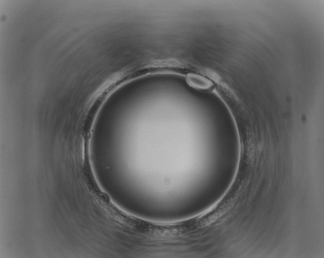 X0000062671221200512230938