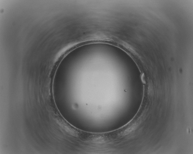 X0000062671222200512230938