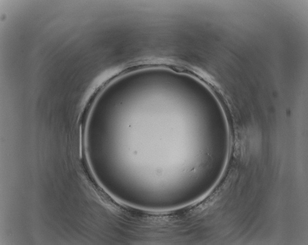 X0000062671223200512230938