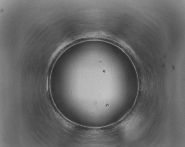 X0000062671224200512230938