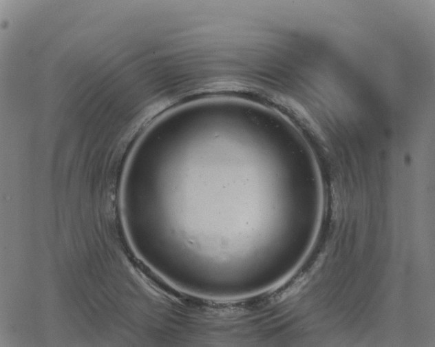 X0000062671225200512230938