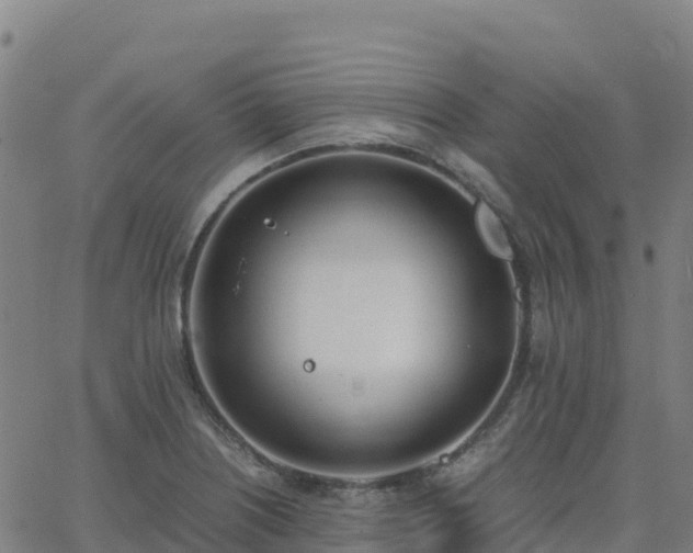 X0000062671226200512230938