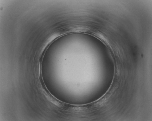 X0000062671227200512230938