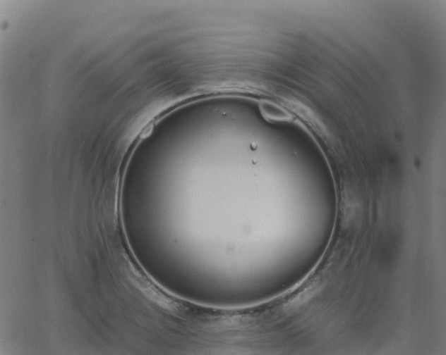 X0000062671228200512230938