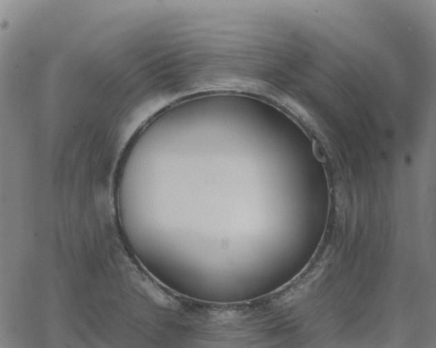 X0000062671230200512230938