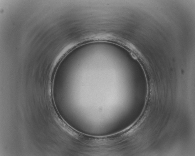 X0000062671232200512230938