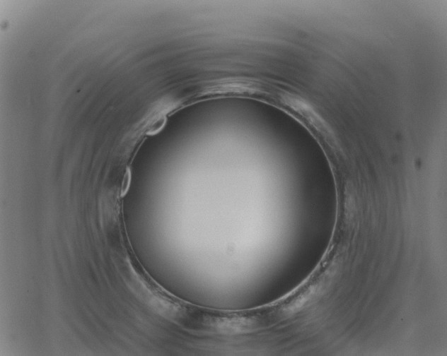 X0000062671233200512230938