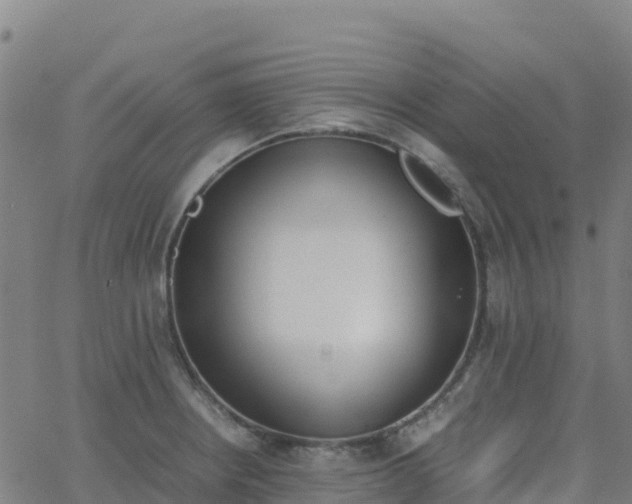 X0000062671234200512230938