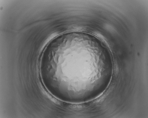 X0000062671235200512230938