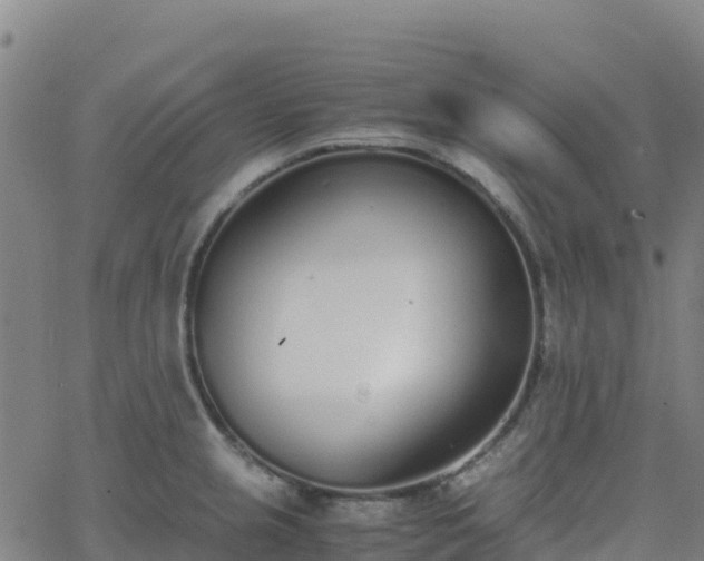 X0000062671237200512230938