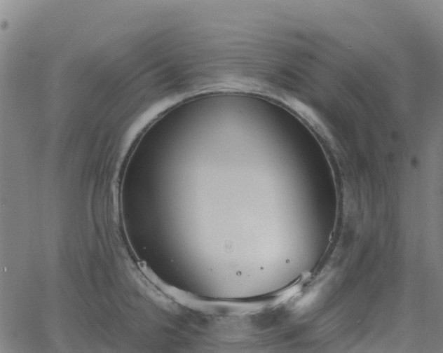 X0000062671238200512230938