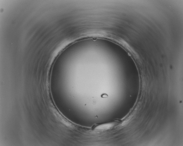 X0000062671240200512230938