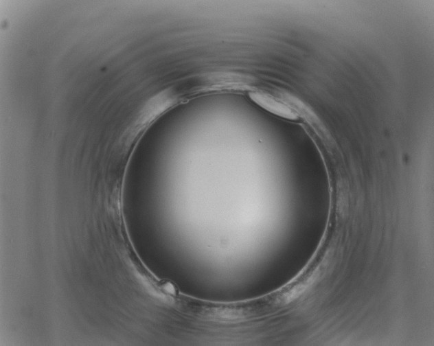 X0000062671241200512230938