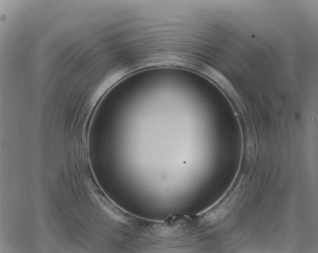 X0000062671242200512230938