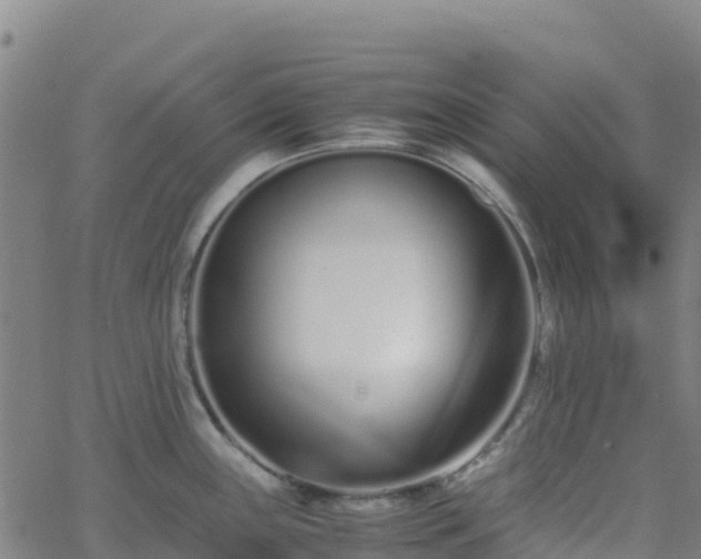 X0000062671243200512230938