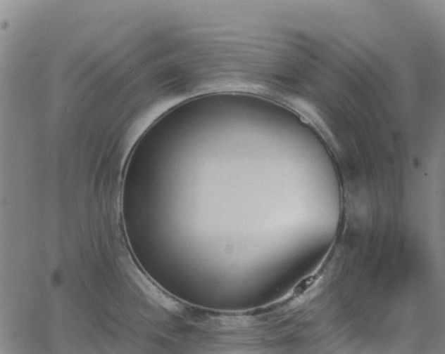 X0000062671244200512230938