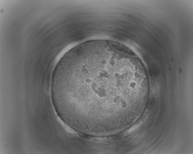 X0000062671245200512230938