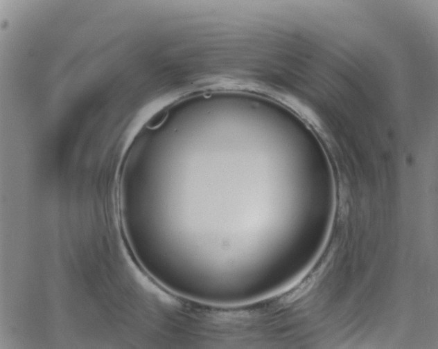 X0000062671247200512230939