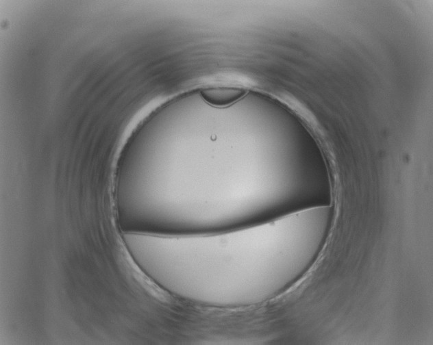 X0000062671248200512230939