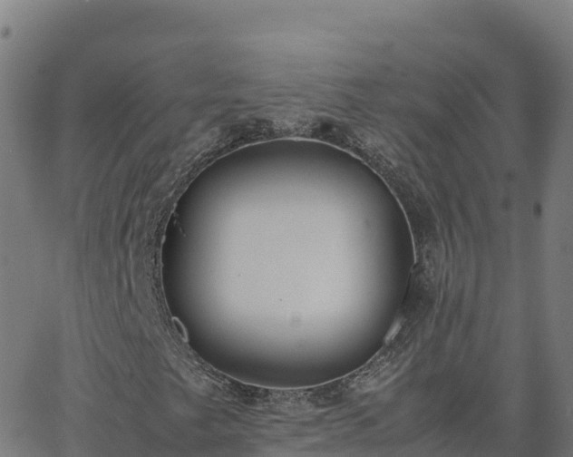 X0000062671249200512230938