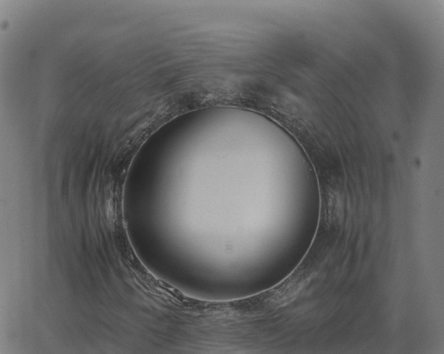 X0000062671250200512230938