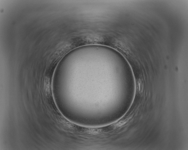 X0000062671251200512230938