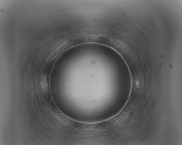 X0000062671252200512230938