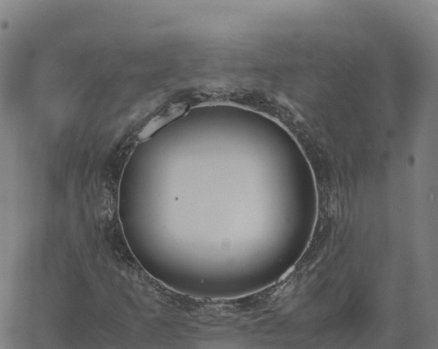 X0000062671253200512230938