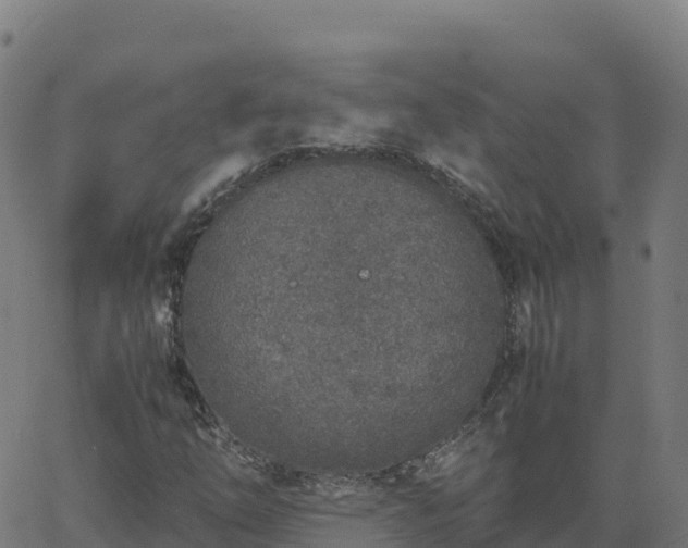 X0000062671254200512230938