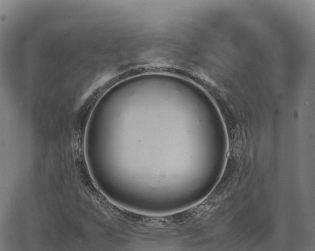 X0000062671255200512230938