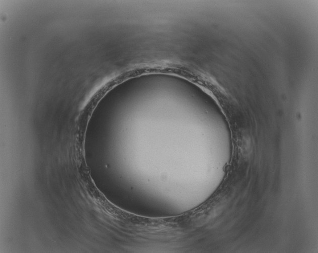 X0000062671256200512230938