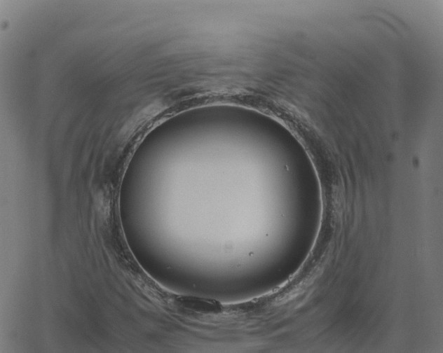 X0000062671257200512230938