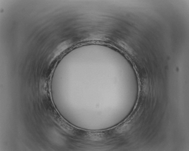 X0000062671258200512230938