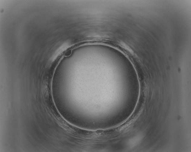 X0000062671259200512230938