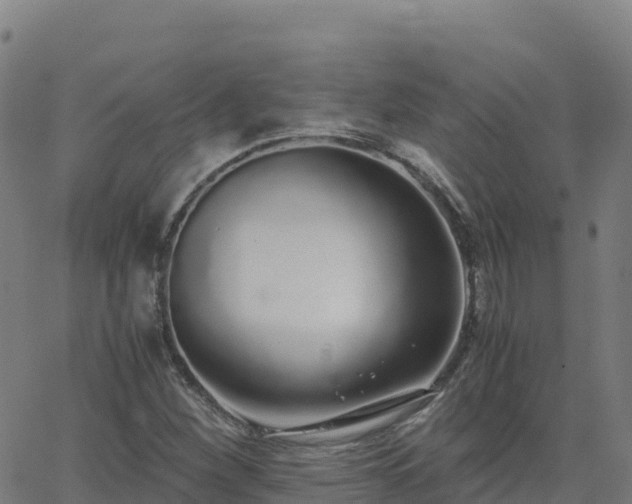 X0000062671260200512230938