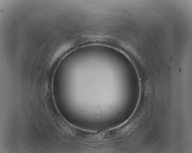 X0000062671261200512230938