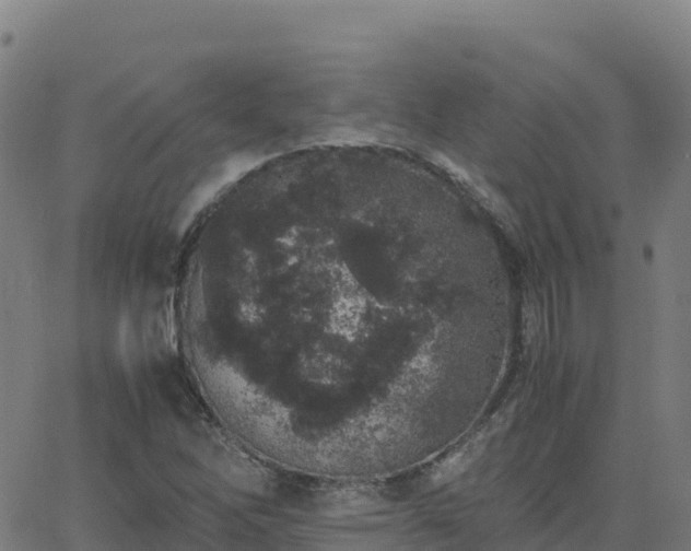 X0000062671262200512230938