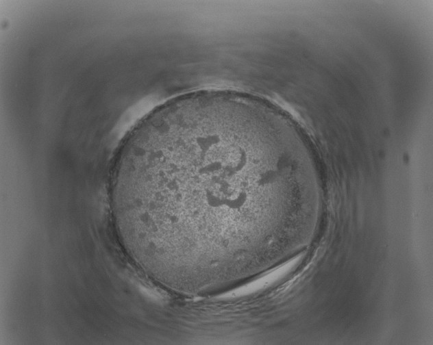 X0000062671263200512230938