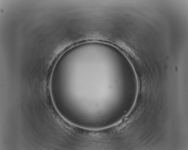 X0000062671264200512230937